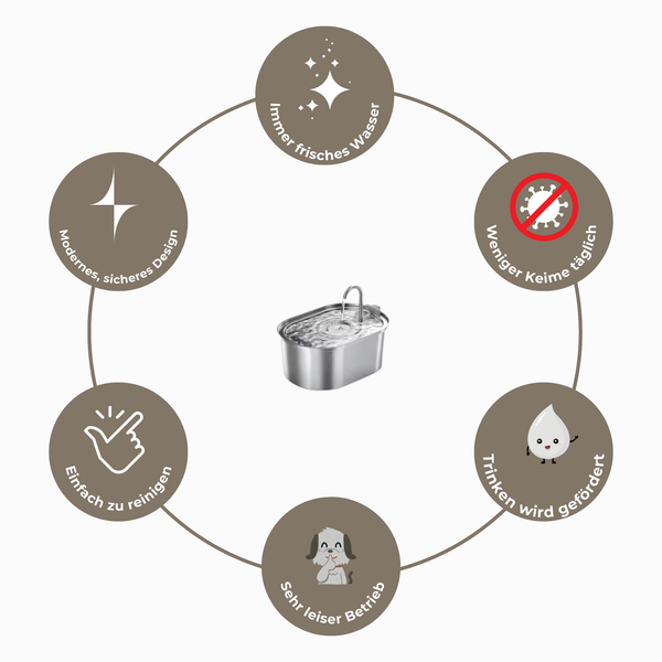 Frischer Trinkbrunnen für Hunde